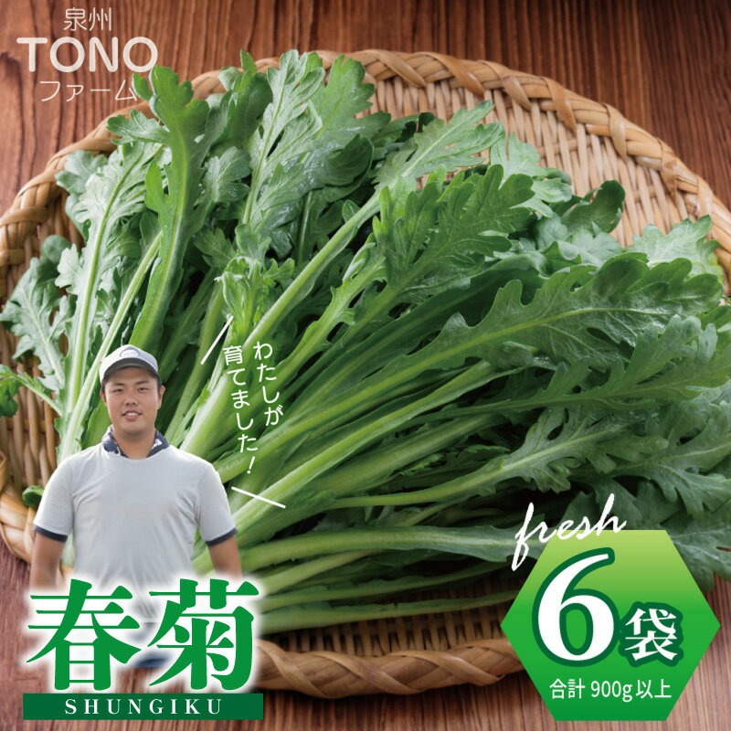 【ふるさと納税】【先行予約】 春菊 合計 900g やわらか 大阪エコ農産物 認証取得 環境配慮 栽培 野菜 鍋 すき焼き しゃぶしゃぶ おひたし サラダ ナムル 天ぷら 旬 期間限定 ギフト用 産地直送 泉州TONOファーム 大阪府 泉佐野市 送料無料