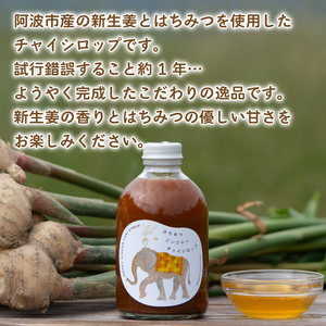 チャイシロップ 2本 (250ml×2本) はちみつ 蜂蜜 チャイシロップ