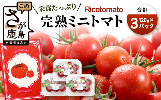 【先行受付】2027年1月より順次発送予定 【少量パック】完熟ミニトマト 360g (120gx3p)  トマト プチトマト 野菜 農家直送 佐賀県鹿島市 たにぐちファーム A-212