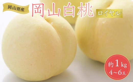 岡山県産 桃 岡山白桃 2026年 ロイヤル 約1kg（4～6玉）【白桃 桃 もも 果物 フルーツ 新鮮 岡山県産 おすすめ 人気 ギフト 岡山県 岡山市】