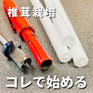 初心者用 しいたけ 栽培キット お手軽 植菌棒+錐+発砲栓 栽培 兵庫県 洲本市 淡路島