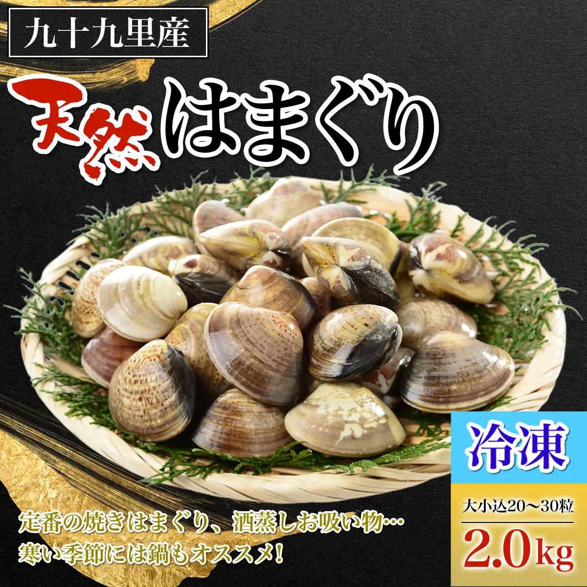【冷凍】九十九里産 天然はまぐり2.0kg　大小込20～30粒  ふるさと納税 冷凍 はまぐり 蛤 天然 焼きはま 網焼き 酒蒸し お吸い物 パエリア 大粒 小粒 冷凍 千葉県 白子町 SHF012