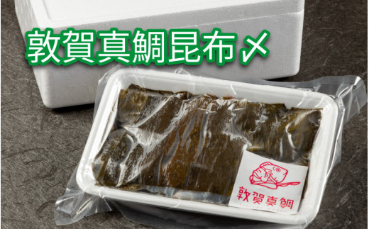 
[041-a008] 鯛 敦賀真鯛 昆布〆（鯛身 約350g）【タイ マダイ 海鮮 冷凍 昆布締め 酒の肴】
