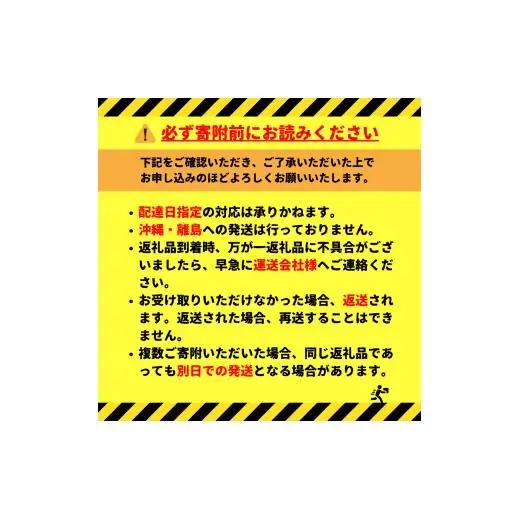 サントリープレミアムモルツ500ml缶　24本入 ※沖縄・離島配送不可