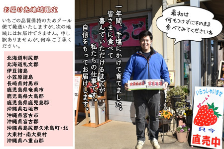 【2026年1月下旬発送 】いちご 紅ほっぺ デラックス 2箱 完熟 苺 朝採り 新鮮 美味しい 甘い おすすめ 高級 果物 フルーツ ストロベリー