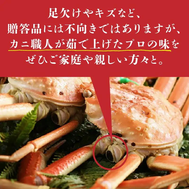 （訳あり）茹で間人がに 2匹 Aセット　11/10～11/21発送予定　ボイル松葉ガニ・ズワイガニ・ゆで松葉ガニ・松葉蟹・山陰・ボイルガニ・ズワイガニ・タグ付き・ブランド蟹