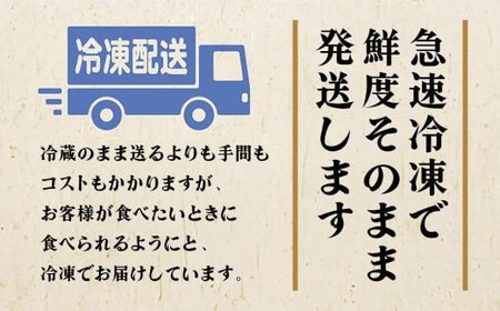【訳あり】飛騨牛づくし定期便【2月・5月・8月・11月発送】 | 定期便 BV106
