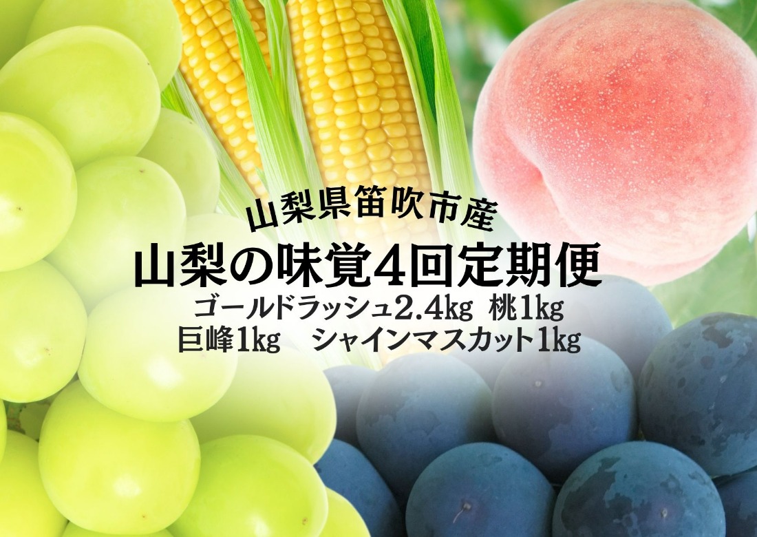 ＜25年発送先行予約＞山梨の味覚定期便　全4回　ゴールドラッシュ　桃　巨峰　シャインマスカット 167-141