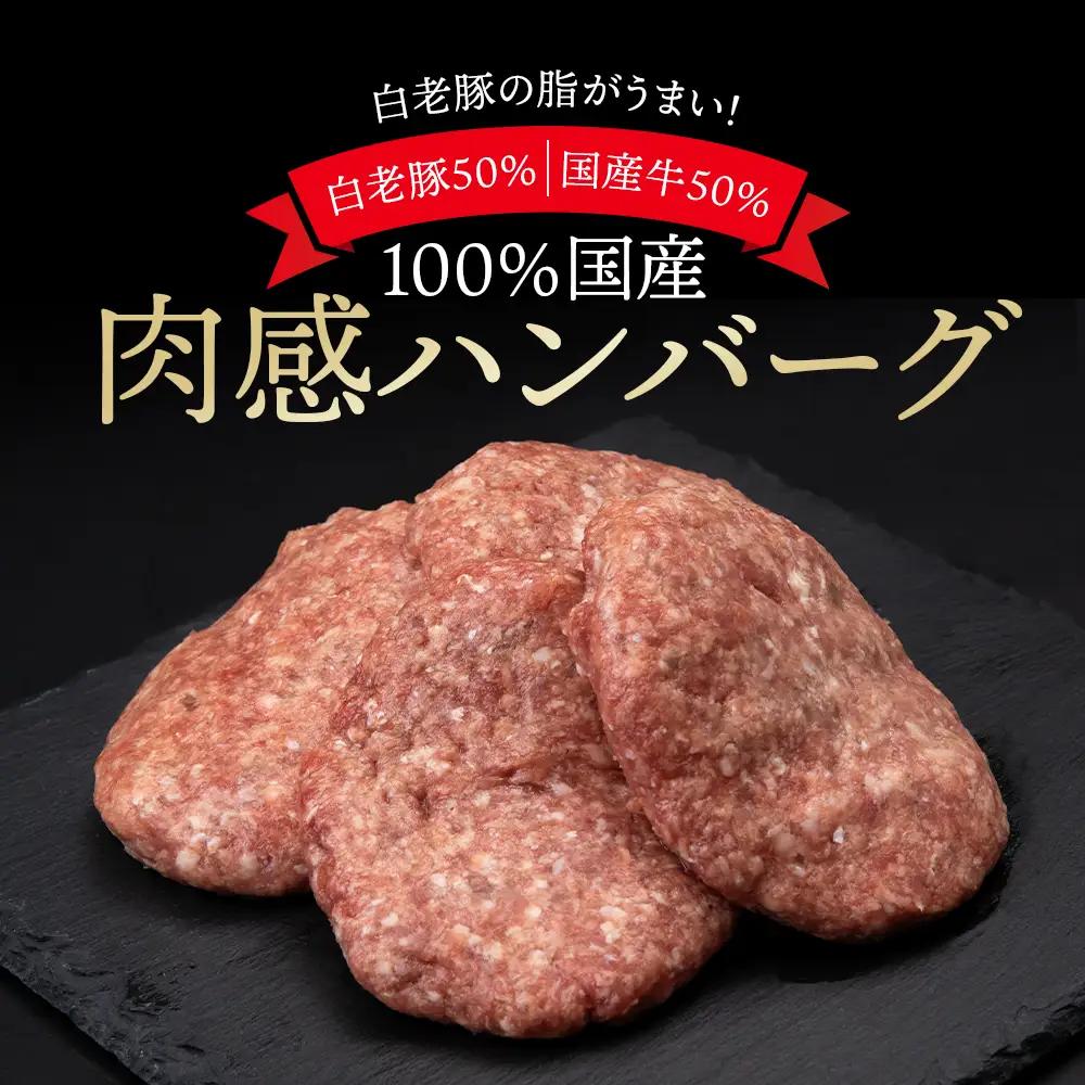 【定期便6ヶ月】国産100％白老合挽ハンバーグ150g×24 BV029