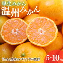 【ふるさと納税】【先行予約】早生みかん 温州みかん　選べる容量【11月中旬以降順次発送予定】 / 和歌山県 田辺市 みかん 早生みかん 柑橘