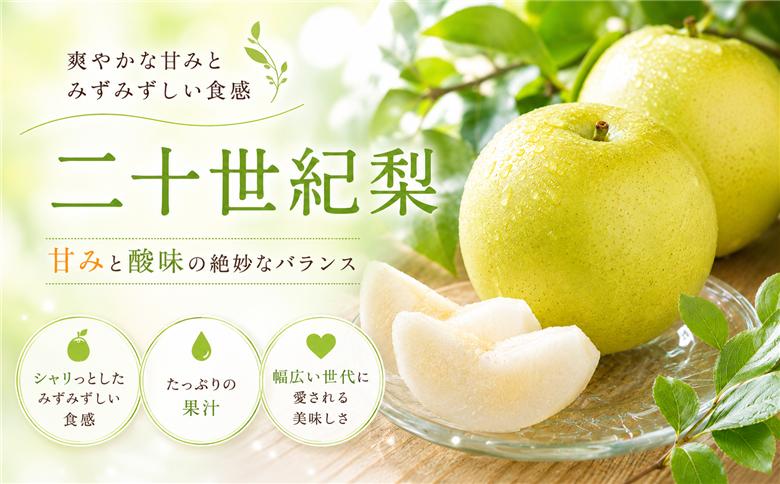 二十世紀梨と旬の赤梨セット 5kg