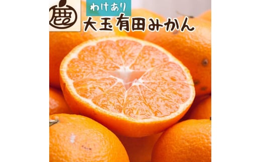 
            家庭用 大きな有田みかん5kg+250g（傷み補償分）［2025年11月中旬から2026年1月下旬頃順次発送予定］［IKE244］
          