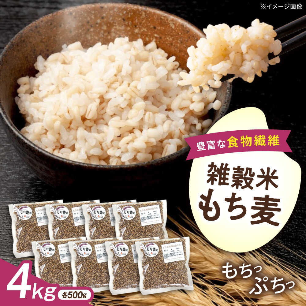 【ふるさと納税】内子町産もち麦4kg ／ 国産 雑穀米 もち麦 モチムギ モチ麦 もちむぎ 麦 むぎ ムギ ごはん おすすめ 食品 送料無料 米 内子町産 もち麦ごはん ご飯 食物繊維 人気 贈答 ギフト 4kg 【株式会社内子フレッシュパークからり】[BKAD011] 20000 20000円 2万円
