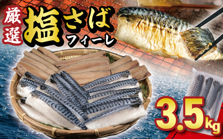 塩サバフィーレ 約3.5kg ノルウェー産 さば さば さば さば 株式会社 大一奈村魚問屋