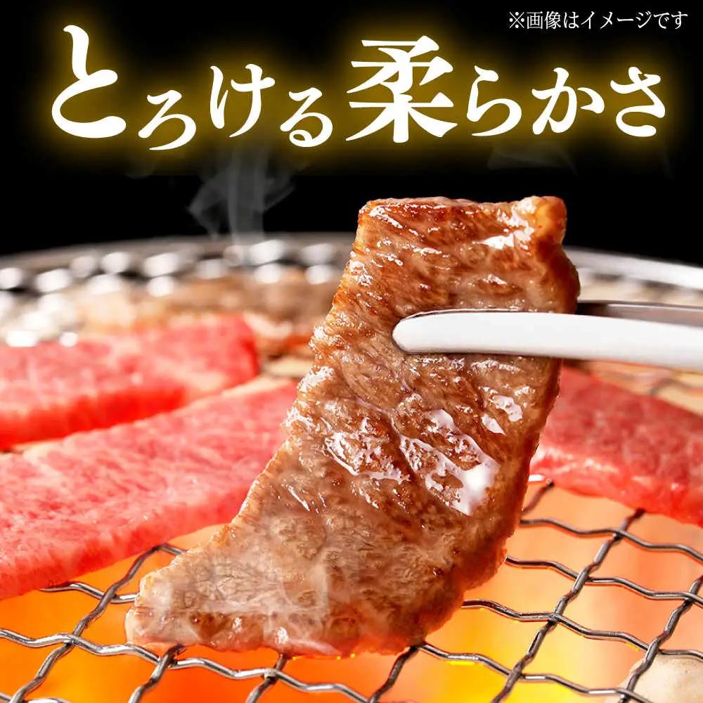 くまもと 黒毛和牛 和王 カルビ 焼肉用 約800g（約400g×2P）カルビ焼肉[AYBR023]