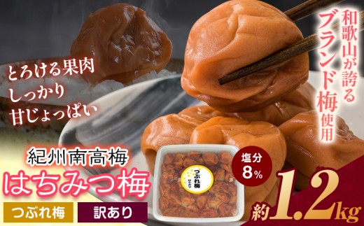 ご家庭用 とろける果肉 紀州南高梅 はちみつ梅 つぶれ梅 大容量 約1.2kg 有限会社プラム《30日以内に出荷予定(土日祝除く)》和歌山県 日高川町 梅 うめ ウメ 南高梅 梅干し 梅干 つぶれ梅 蜂蜜 送料無料 ランキング お米 のお供
