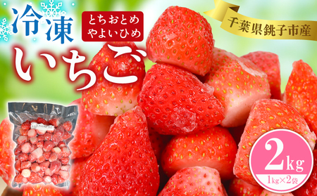 いちご 冷凍 とちおとめ やよいひめ 2kg いちご