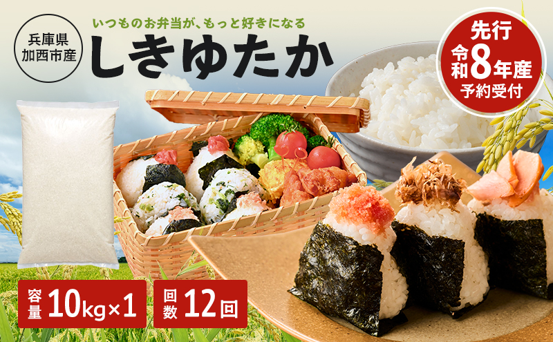 定期便【令和8年 先行受付】しきゆたか 白米 10kg 12か月連続お届け