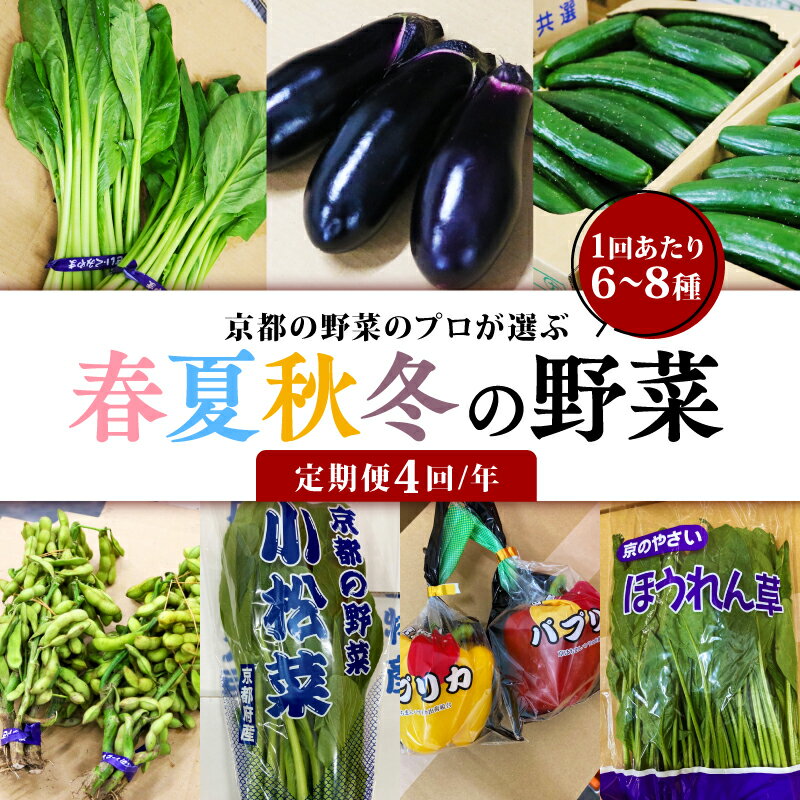 【ふるさと納税】 定期便 4回 京都 野菜 6～8種 年4回 旬 京野菜 春 夏 秋 冬 なす とうもろこし トマト ねぎ ごぼう 水菜 鍋 サラダ 京都府 人気 おまかせ 詰め合わせ セット 京印京都南部青果 市場