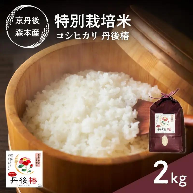 令和8年産 特別栽培米コシヒカリ 丹後椿（京丹後森本産） 2kg