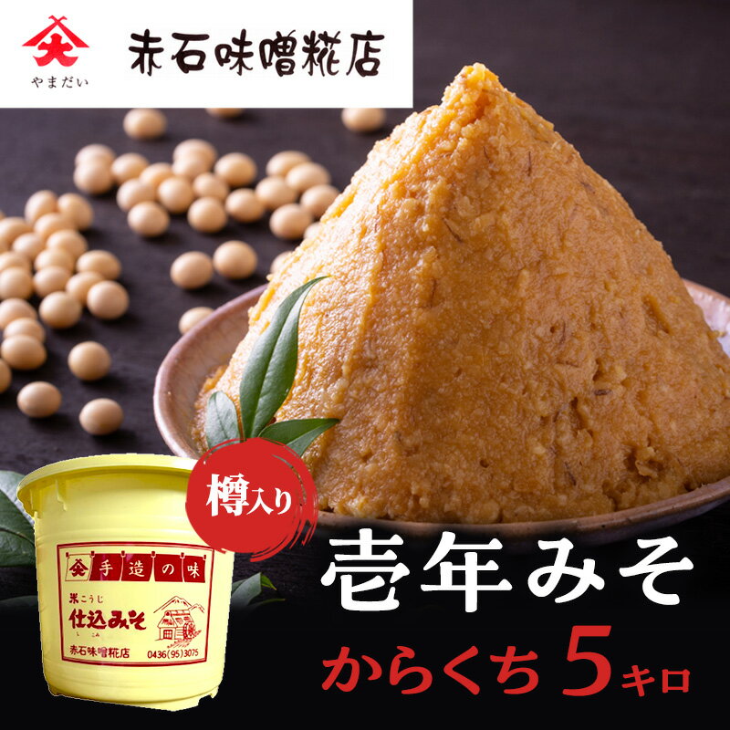 【ふるさと納税】壱年みそ　からくち5キロ　 米こうじ 手造り 壱年味噌 伝統食品 豆造 甘酒 塩こうじ 丸大豆 国産 米 発酵 完熟