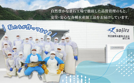 fn-10-041 サーモンビッツ 燻製 12本入 振興開発