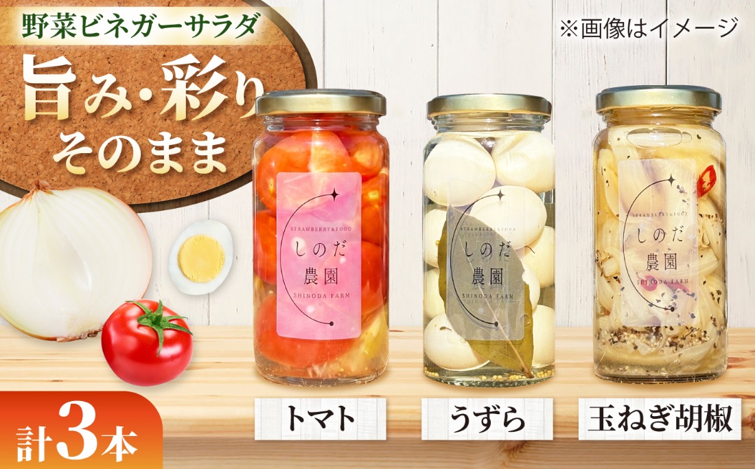 野菜ビネガーサラダ 3本（うずら・トマト・玉ねぎ黒胡椒） ビネガーサラダ 常備菜 おかず 愛西市 / しのだ農園-SHINODA FARM-[AECE012]