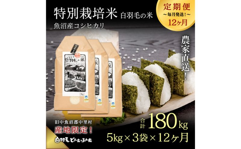 
            【通年受付】≪令和6年産　≫【定期便／全12回】農家直送！魚沼産コシヒカリ特別栽培「白羽毛の米」精米(5kg×3袋)×12回 180kg
          