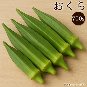 【ふるさと納税】オクラ　約700g