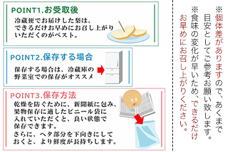 【先行予約】旬の梨 約5kg 梨
