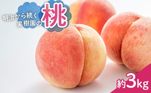 
                  【2026年出荷分先行予約】明治から続く果樹園の桃　品種おまかせ約3kg もも モモ 桃 果物 くだもの フルーツ 福島県 白河市 F25R-149
                