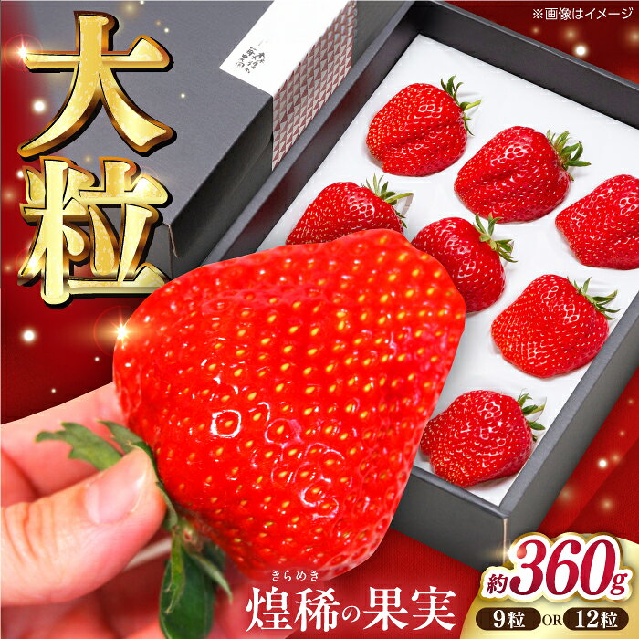 【ふるさと納税】【先行予約】 煌稀の果実 大粒 苺 約360g (9または12粒) 高知市春野町産 〈2027年1月上旬～2027年4月上旬頃発送〉 / いちご イチゴ 果物 フルーツ【森強のいちご農園】 [ATAS001]