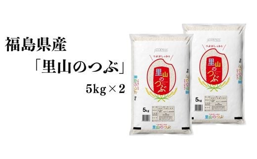 No.3048 【令和7年産 新米先行予約】福島県産米「里山のつぶ」精米 5kg  2袋