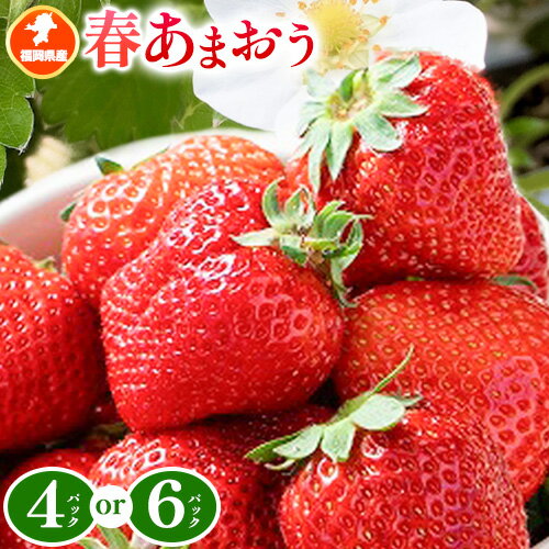 【ふるさと納税】福岡県産 春あまおう 4パック 6パック 南国フルーツ株式会社《2月上旬-3月末頃出荷》福岡県 小竹町 あまおう いちご イチゴ 送料無料【配送不可地域あり】