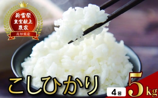令和7年産 コシヒカリ 白米 4ヵ月連続 定期便 5kg × 4回 20kg
