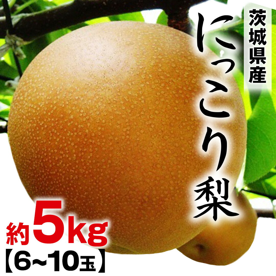【ふるさと納税】にっこり梨 約 5kg （6～10玉） 2026年産 先行予約 梨 果物 フルーツ なし ナシ にっこり くだもの デザート 茨城
