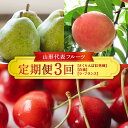 【ふるさと納税】≪数量限定 期間限定≫2025年先行予約 【山形代表フルーツ定期便】 3回定期便 FSY-1872