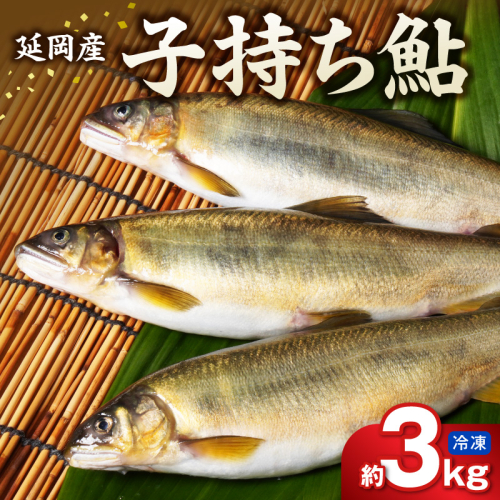 【冷凍】子持ち鮎 約３kg N070-YD0265-2