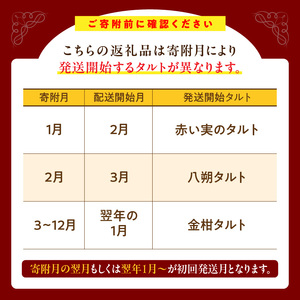 【1～3月発送】季節のタルト定期便　3回お届け　焼き菓子 ドイツ菓子 誕生日 奈良県 生駒市 お取り寄せ タルト ケーキ スイーツ デザート おやつ 洋菓子 熨斗対応 冷凍 送料無料