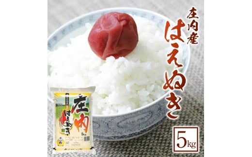 令和7年産【精米】はえぬき　5kg×1袋 《農産物検査員おすすめの庄内米》 SY SA2959