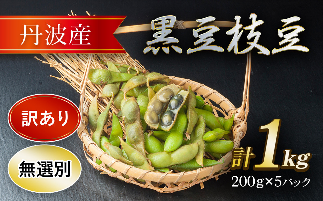 
【訳アリ】丹波産黒豆枝豆(無選別)200ｇ×5パック ふるさと納税 野菜 豆 くろまめ 黒豆 えだまめ 枝豆 訳あり 京都府 福知山市
