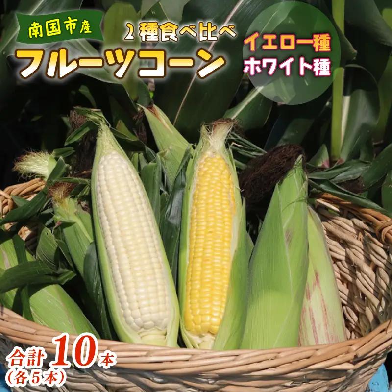 【2027年先行予約】とうもろこし 2種食べ比べ 合計10本 (イエロー ホワイト) とうもろこし フルーツコーン