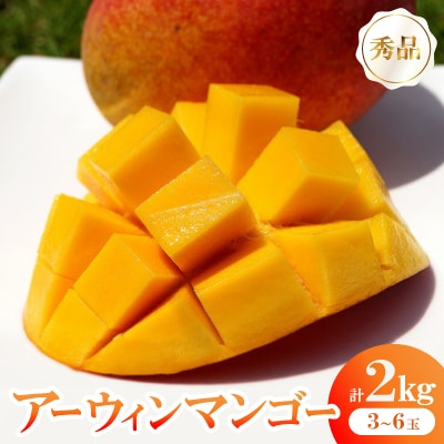 【2026年6月から順次発送】秀品アーウィンマンゴー2kg(3～6玉)【配送不可地域：離島】
