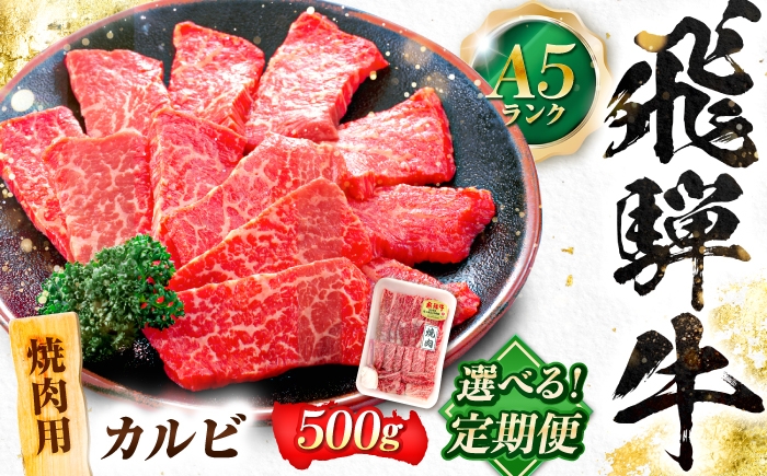 
                  【選べる定期便回数】飛騨牛 A5等級 焼肉用 カルビ 500g 牛肉 肉 お肉 焼き肉 BBQ 岐阜市 / 肉の松久 [ANIP039]
                