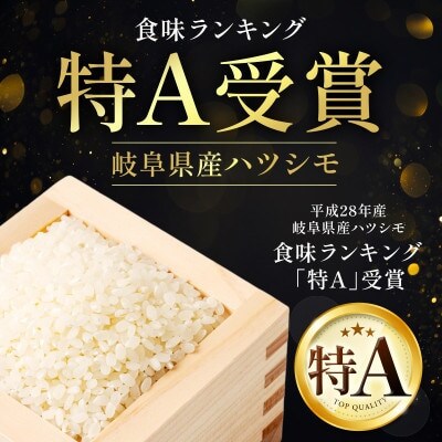 【毎月定期便】岐阜県産ハツシモ(精米) 10kg全5回【配送不可地域：離島】【4076386】