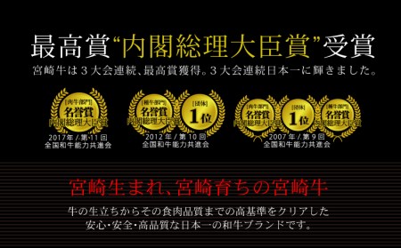 ブランド黒毛和牛＜宮崎牛＞贅沢肉定期便 6ヵ月コース ※一回目は90日以内に発送【G14】