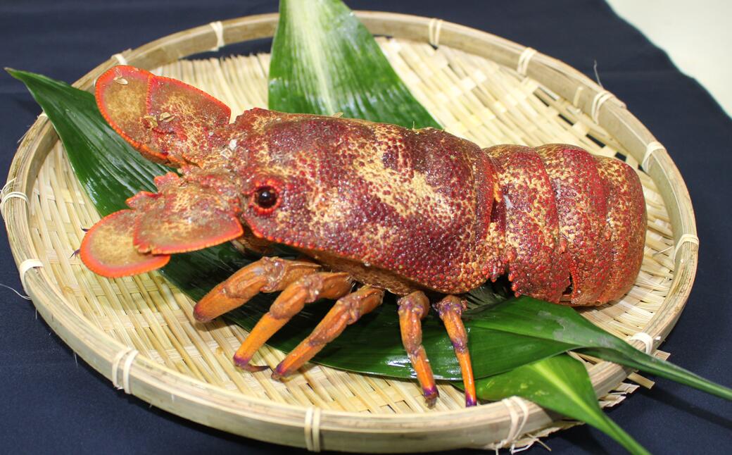 【ふるさと納税】 沖の島 漁師 セミエビ 600g 1-2匹 海老 えび エビ 刺身 生食 蒸し 焼き 海鮮 魚介類 高級 贅沢 グルメ 特産品 名物 プレゼント ギフト お取り寄せ 産地直送 新鮮 旬 おいしい 人気 絶品 おすすめ 宿毛市 高知県 29000円