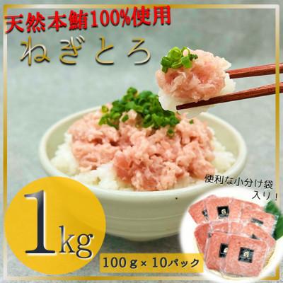 ふるさと納税 静岡市 【静岡】ねぎとろ1Kg:100g×10パックセット