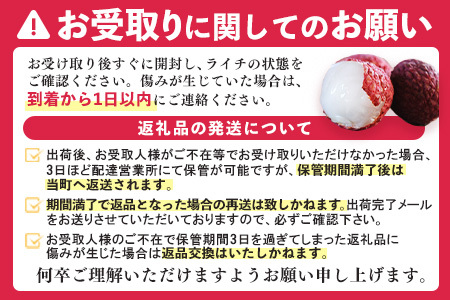 【先行受付】佐賀県産ライチ 1kg(贈答用)【生ライチ ライチ 生 基山町産 贈答用 貴重 国産 新鮮 フレッシュ 肉厚 1kg お中元 贈り物】 B5-F060001