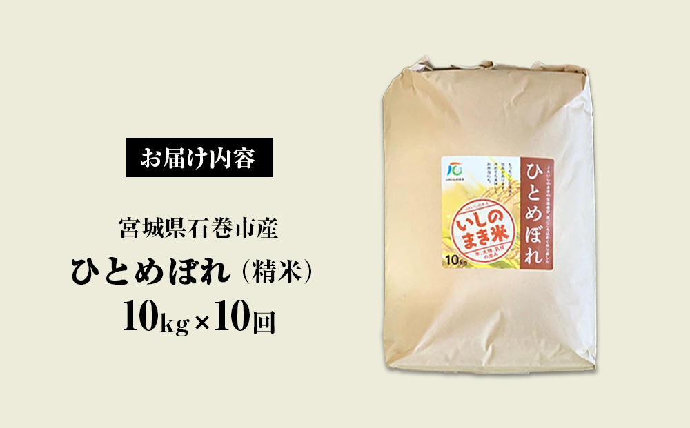 令和６年産 米 ひとめぼれ 定期便 10kg × 10回 お米 精米 白米